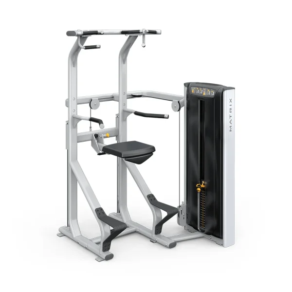 Versa Chin / Dip Assist