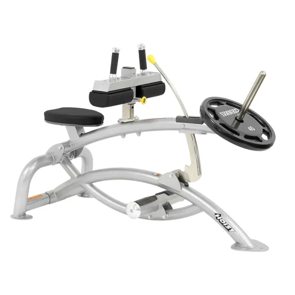 Seated Calf Raise