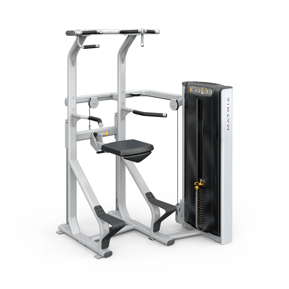 Versa Chin / Dip Assist