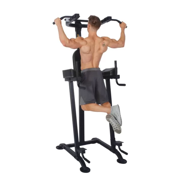 Basic Trainer Chin/Dip/Leg Raise/Push Up